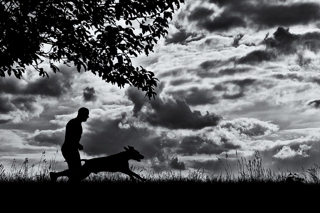 Silhouette of Dog and Owner against open sky.